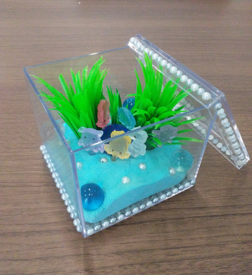 手工水族馆(海洋生物)_小田急百货店町田店-修正.jpg